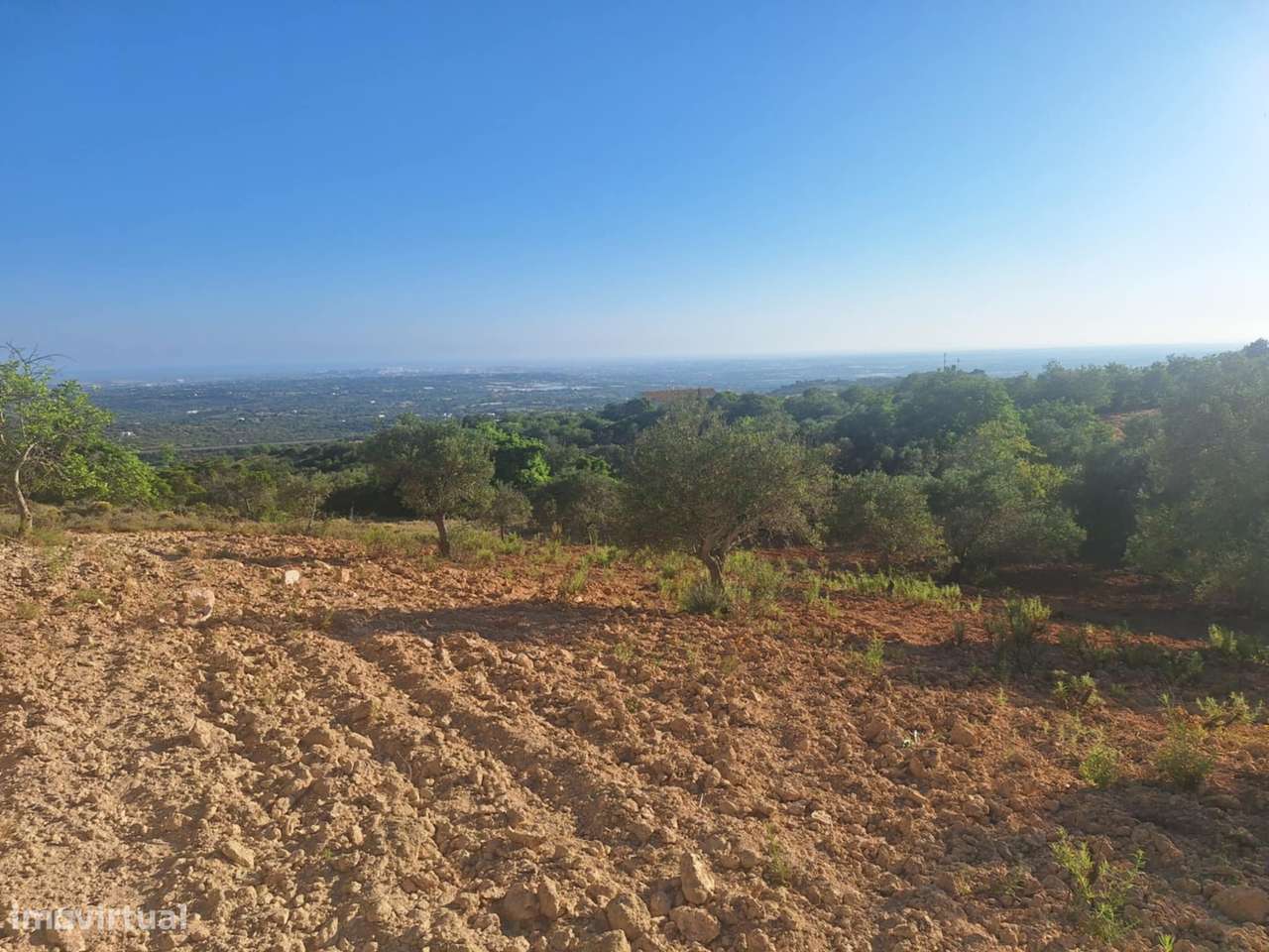 Terreno Rústico a 10km de Estoi-1