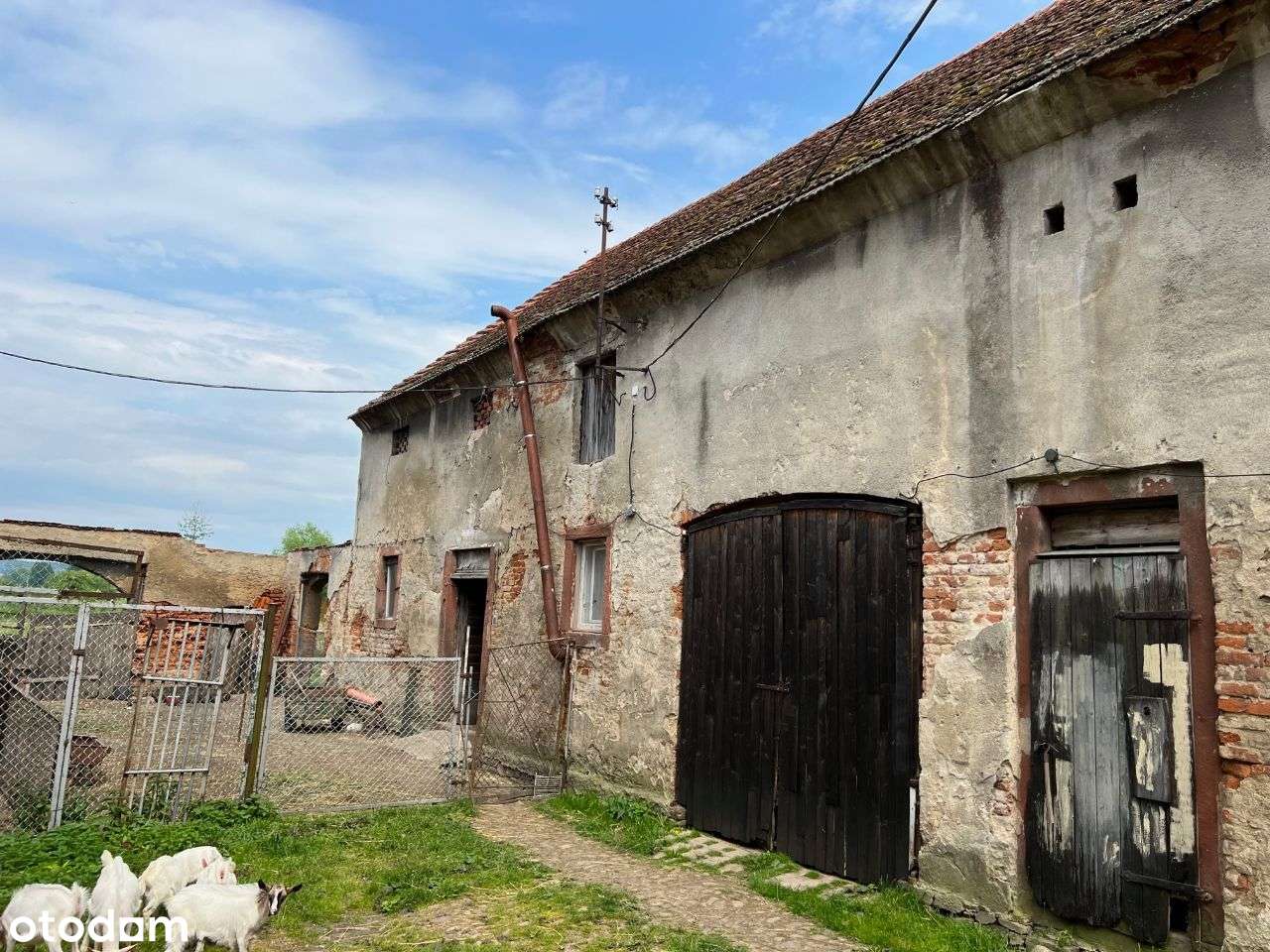 Dom w Brukalicach pod inwestycję - Pełny obrazek: 5/17