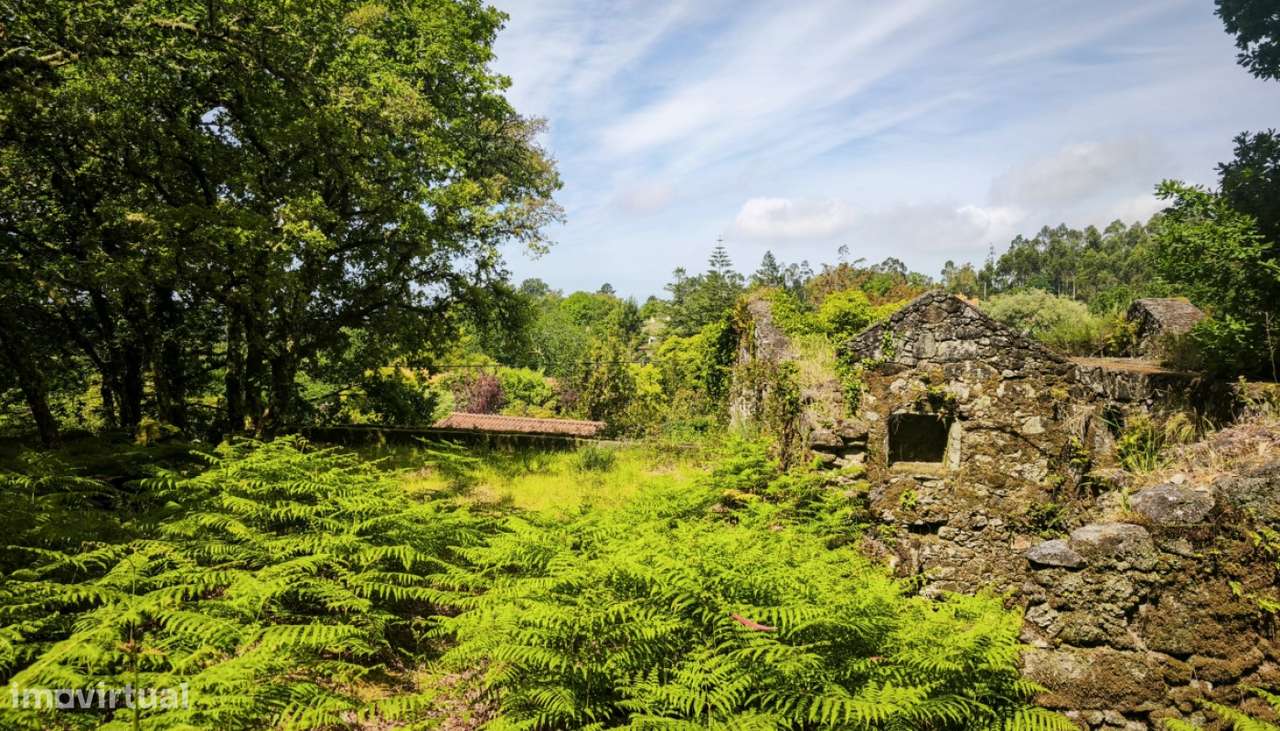 Venda de Quinta, Areosa, Viana do Castelo-18