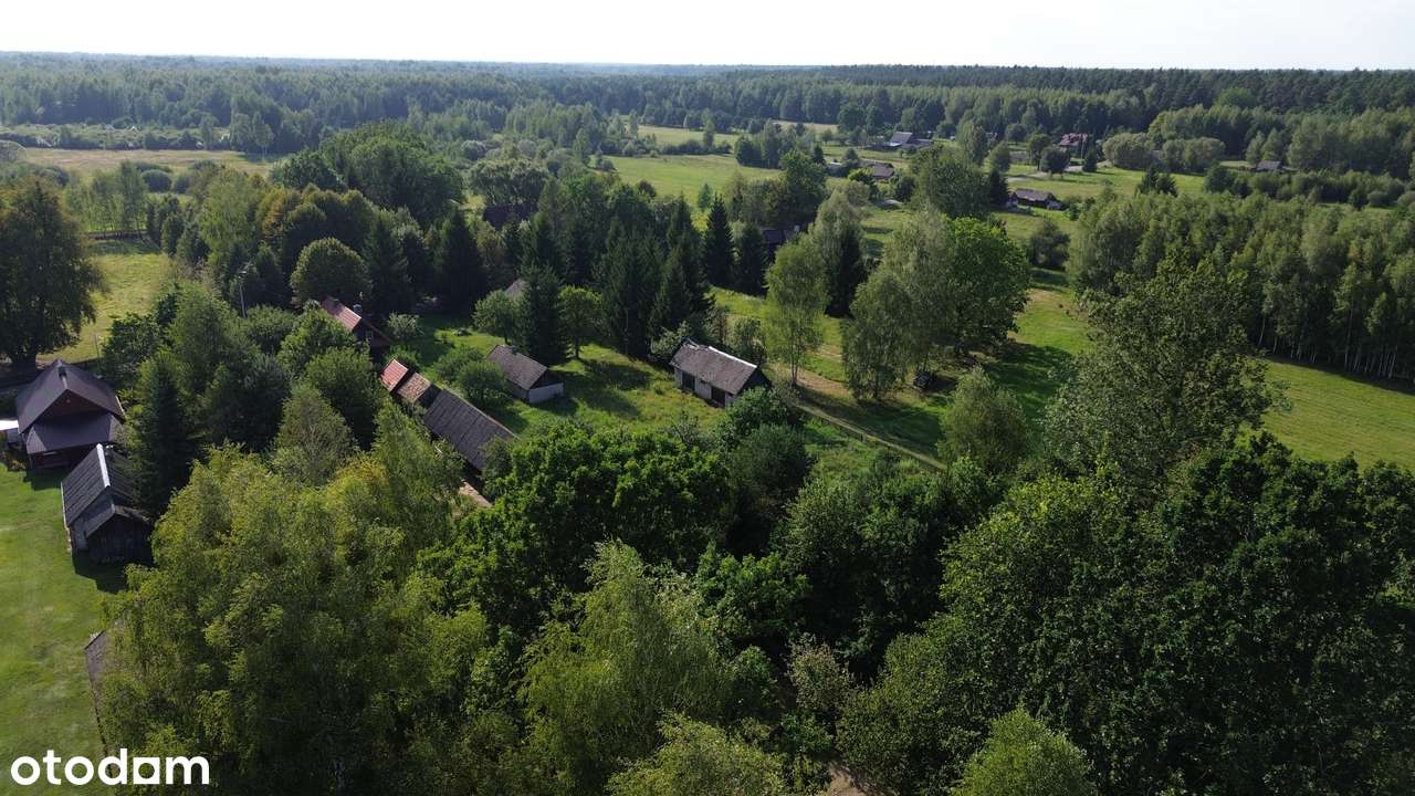 Stare Masiewo - 1840 m2 z budynkiem gospodarczym! PUSZCZA BIAŁOWIESKA! - Pełny obrazek: 2/18