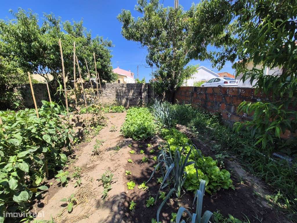 Terreno-plano-com -viabilidade de construção- Paião- Figueira da Foz - Grande imagem: 4/20