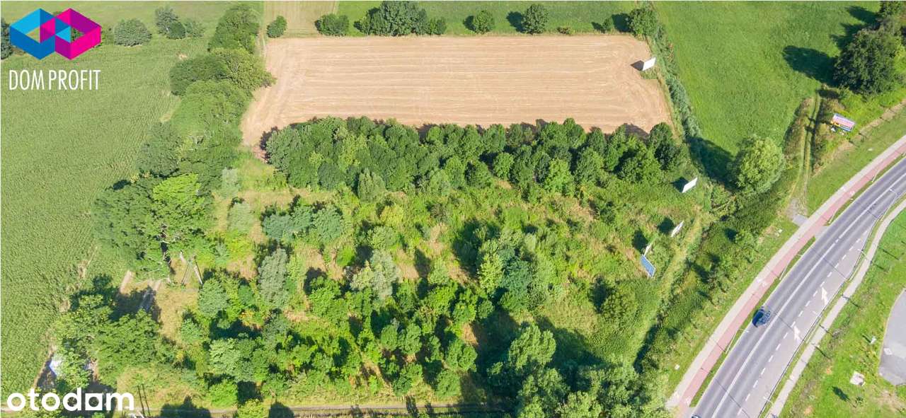 *** Blisko 15 arów relaksu *** - Pełny obrazek: 5/11