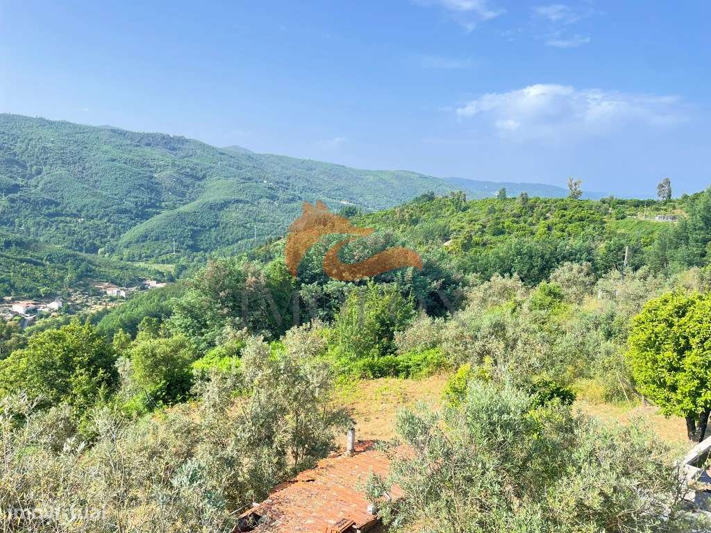 Quinta de S. Pedro em Penalva do Alva, Oliveira do Hospital-11