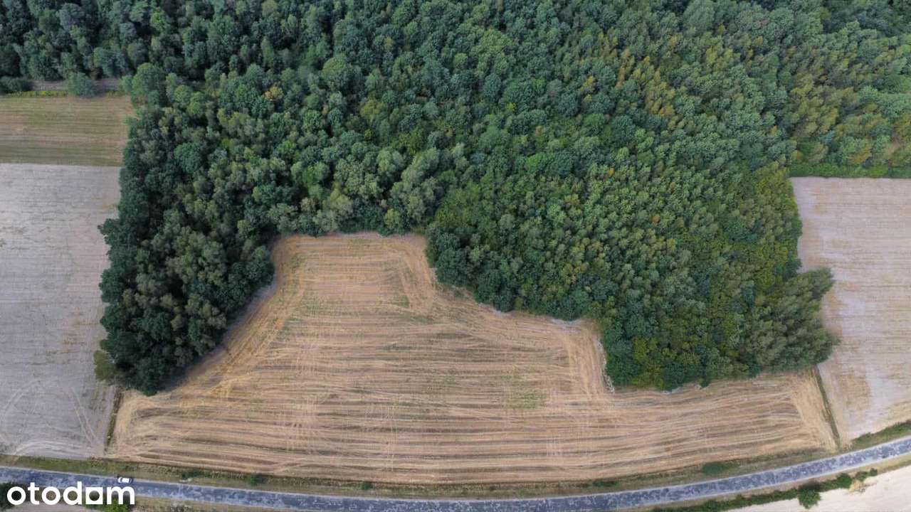 Sprzedam działki - Pełny obrazek: 5/10