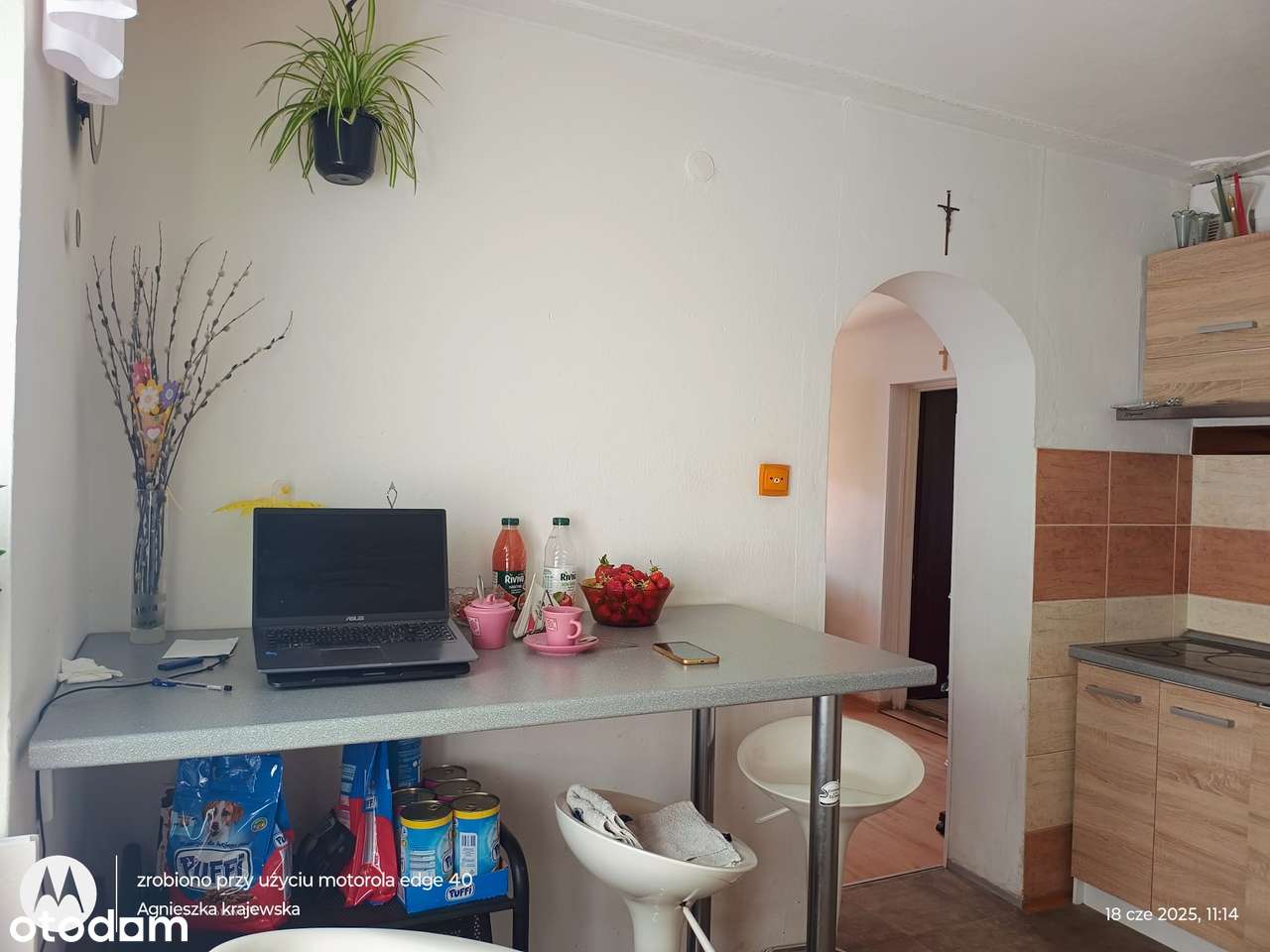 Dom wolnostojący z garażem i budynkami gospodarczymi. - Pełny obrazek: 4/14