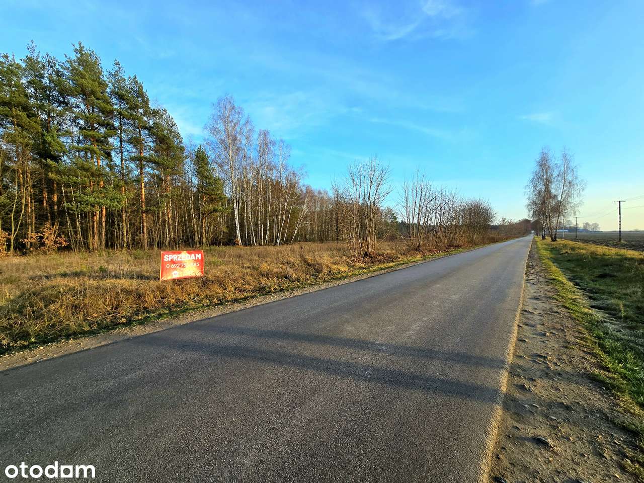 Działki budowlane przy lesie 1343 m2 | media | przy drodze asfaltowej-13