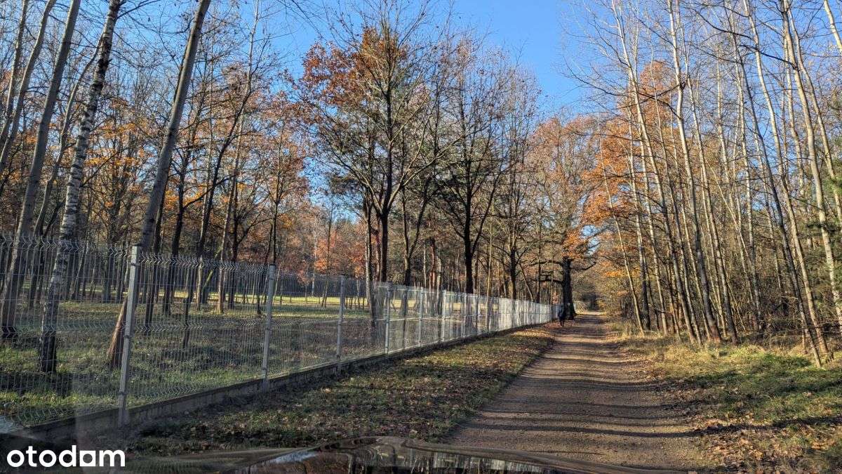 Działka Premium z prywatny lasem - 7,99ha-11