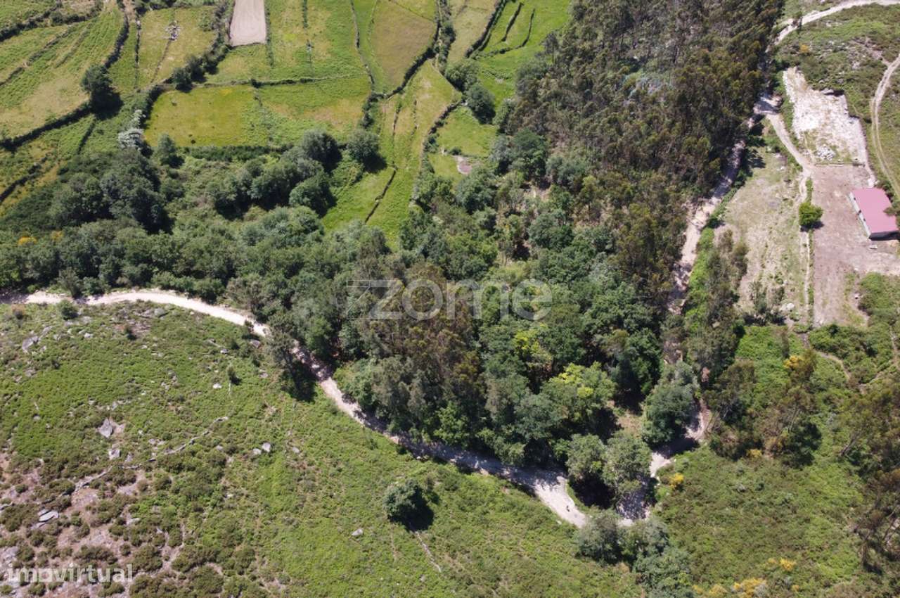 Terreno Rústico em Barbeitos (Álvora) - Grande imagem: 3/23