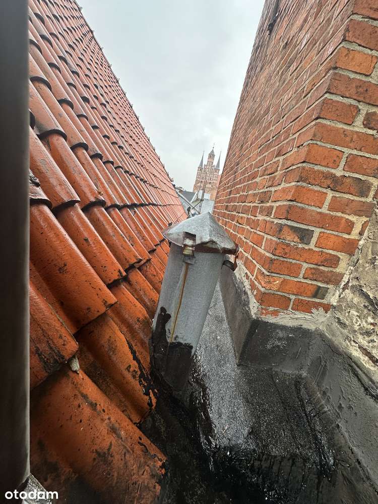 Reprezentacyjna kamienica  przy ul. Chełmińskiej w Toruniu - Pełny obrazek: 4/17