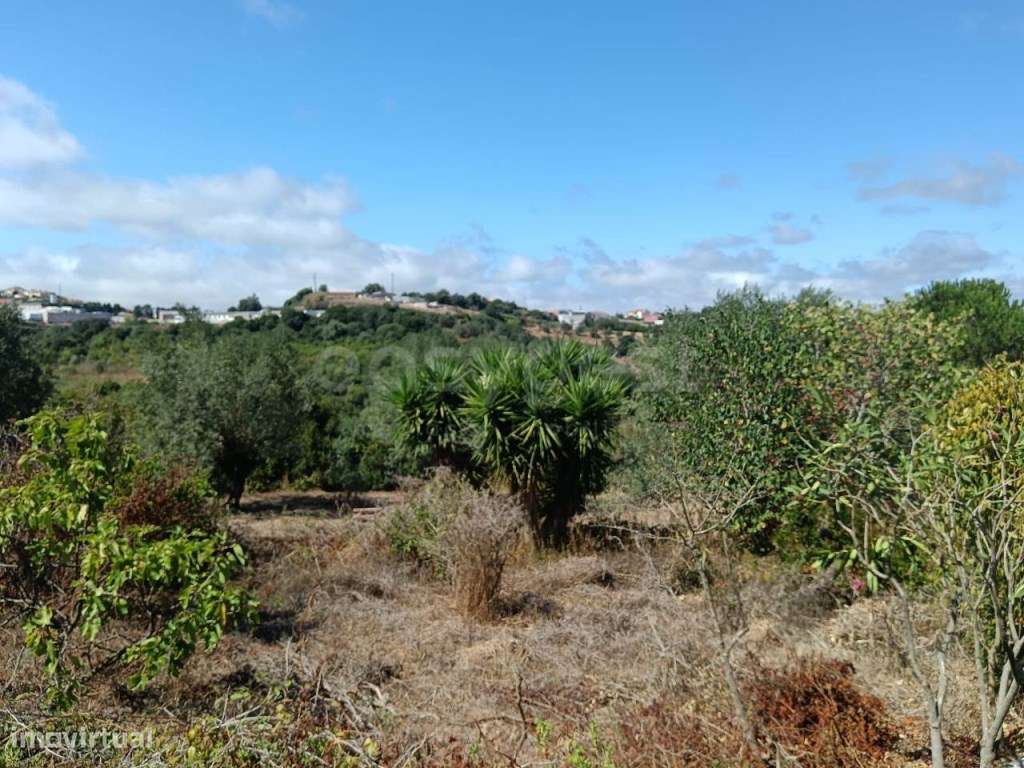Terreno com casa de madeira em Evora de Alcobaça - Grande imagem: 2/15