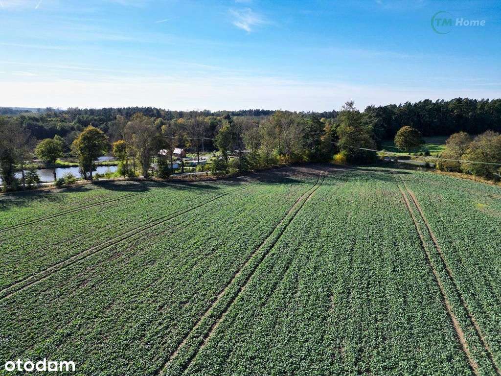 Działki pod Kołobrzegiem w bardzo dobrej cenie ! - Pełny obrazek: 5/8