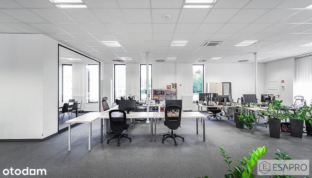 Przestrzeń dla nowoczesnej firmy - pow. 219 m2