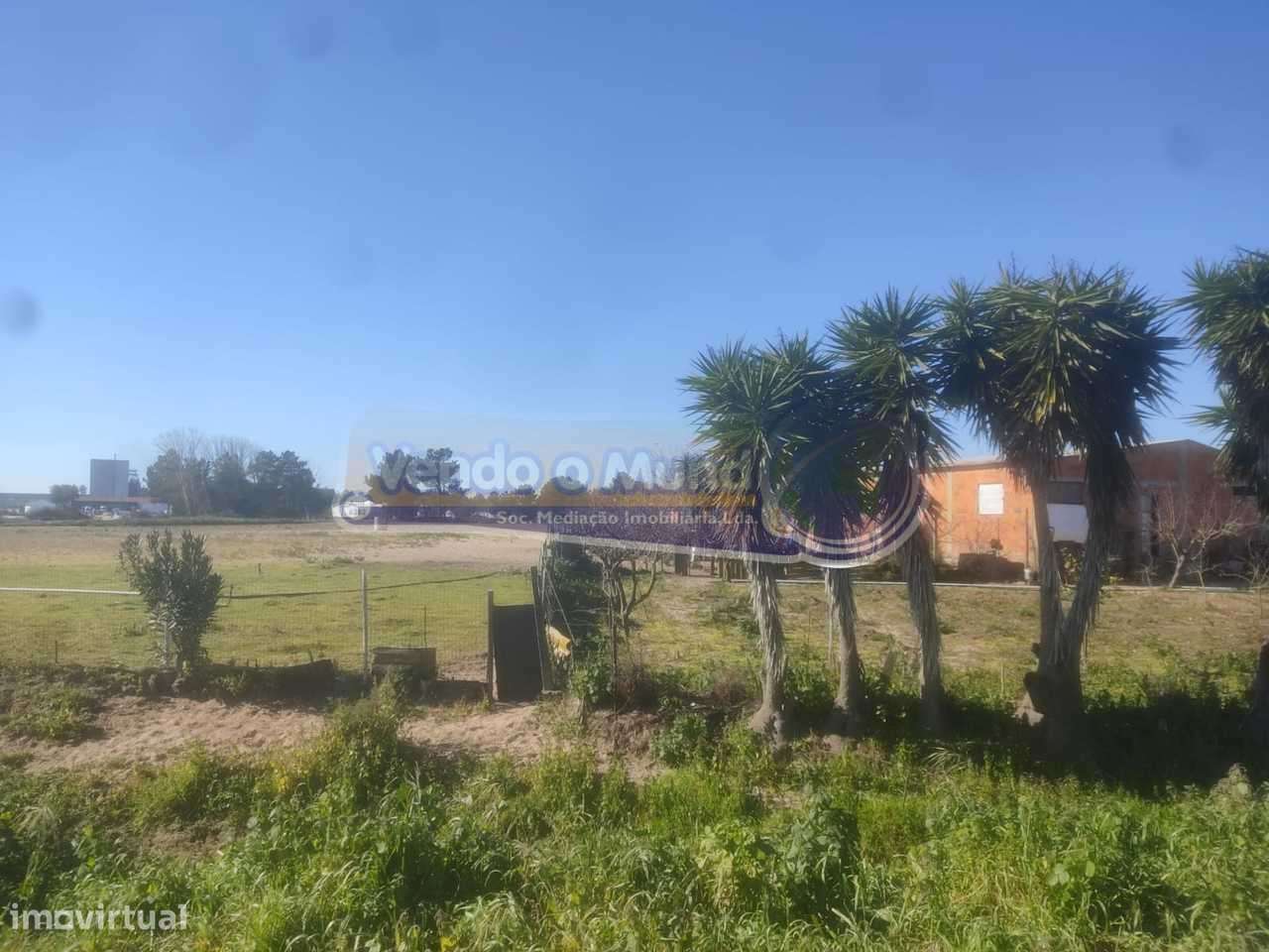 Terreno em Salvaterra de Magos (S563) - Grande imagem: 2/6