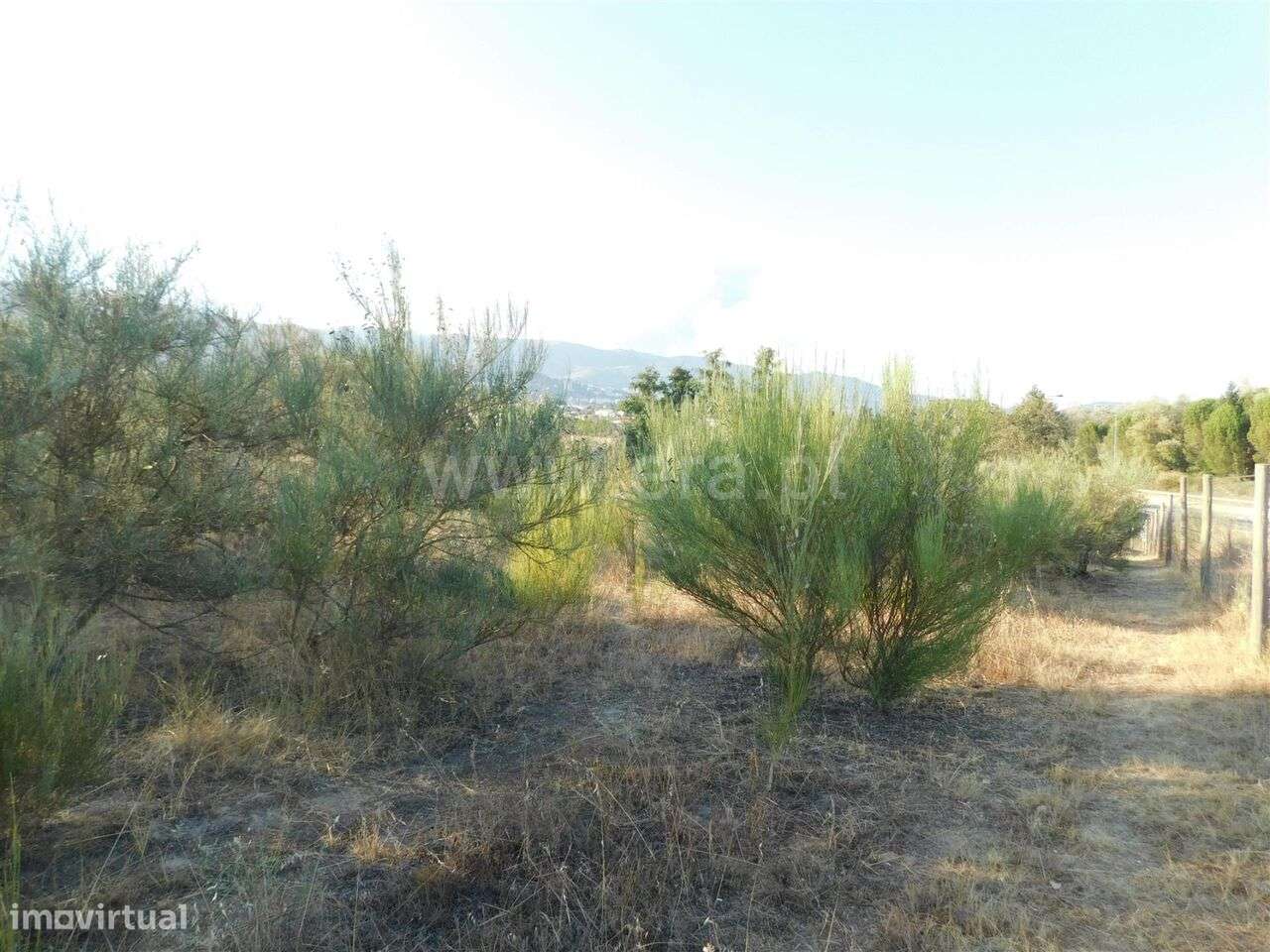 Terreno / Covilhã, Tortosendo - Grande imagem: 5/17
