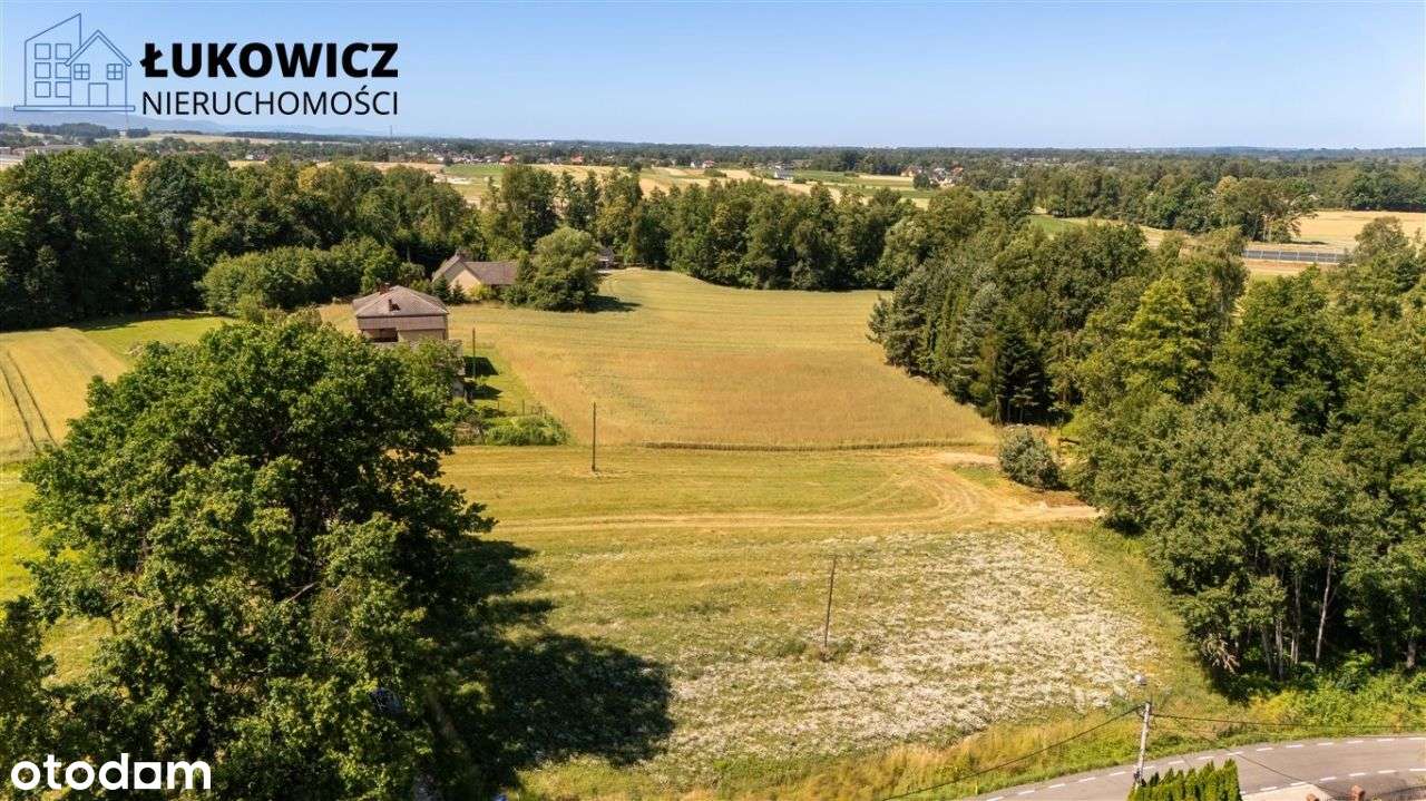 Działka 3057 m² w sąsiedztwie lasu! Dankowice-19