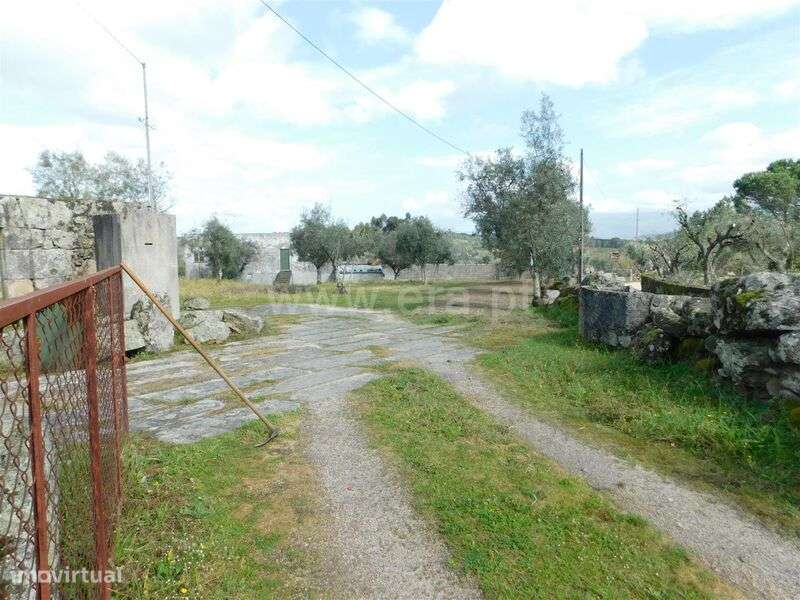 Quinta / Seia, Girabolhos - Grande imagem: 4/19