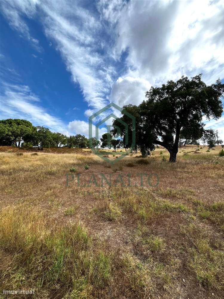 Quinta >=T10 Venda em Cortiçadas de Lavre e Lavre,Montemor-o-Novo-43