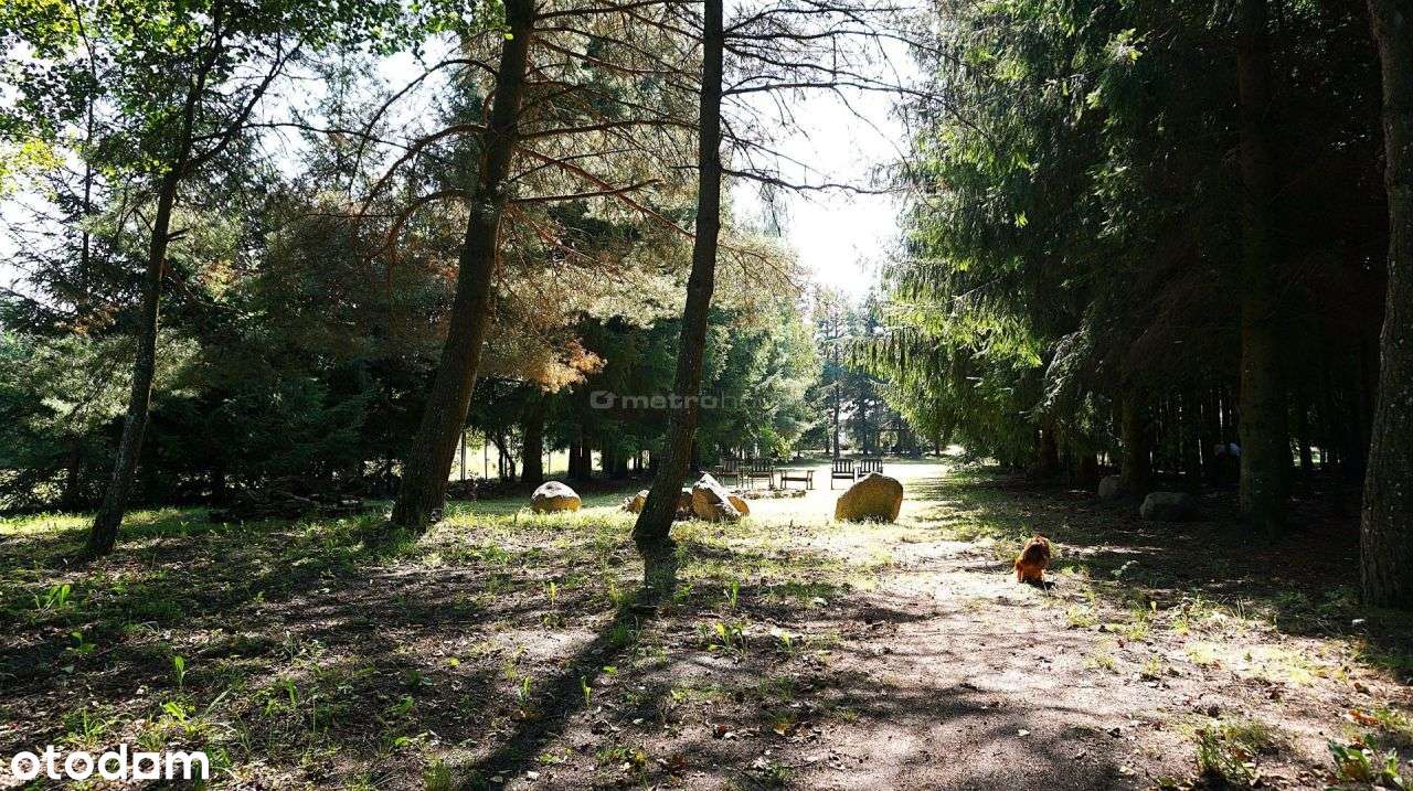 Duża działka z domkiem nad jeziorem. Okazja! - Pełny obrazek: 3/15