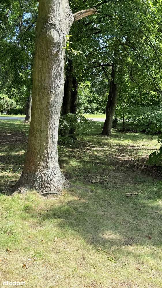 Brwinów, nowy dom z ogrodem - pompa ciepła-19