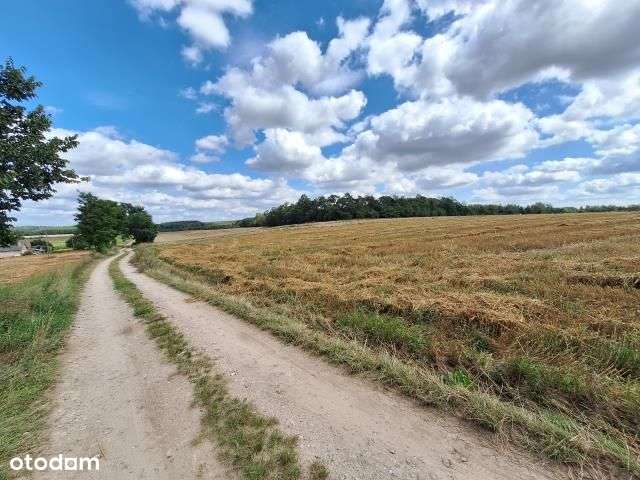 Działka, 4 240 m², Zglinna Duża-12