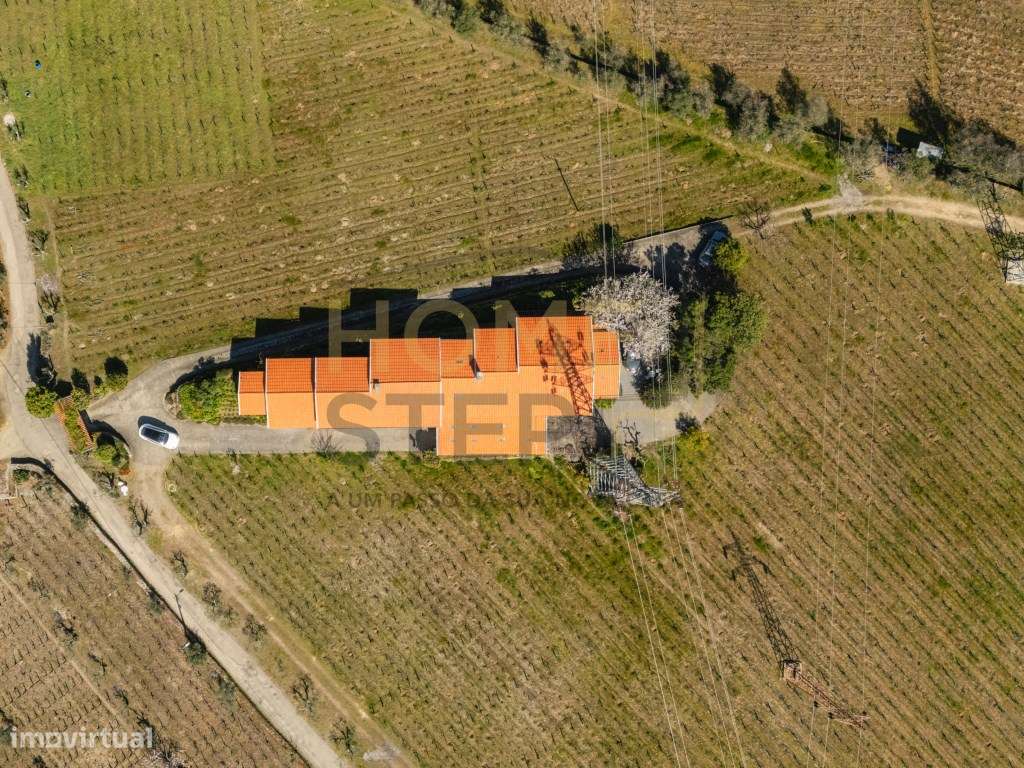 Quinta T4 com Vinhas e Oliveiras, em Santa Marta de Penaguião - Douro-5