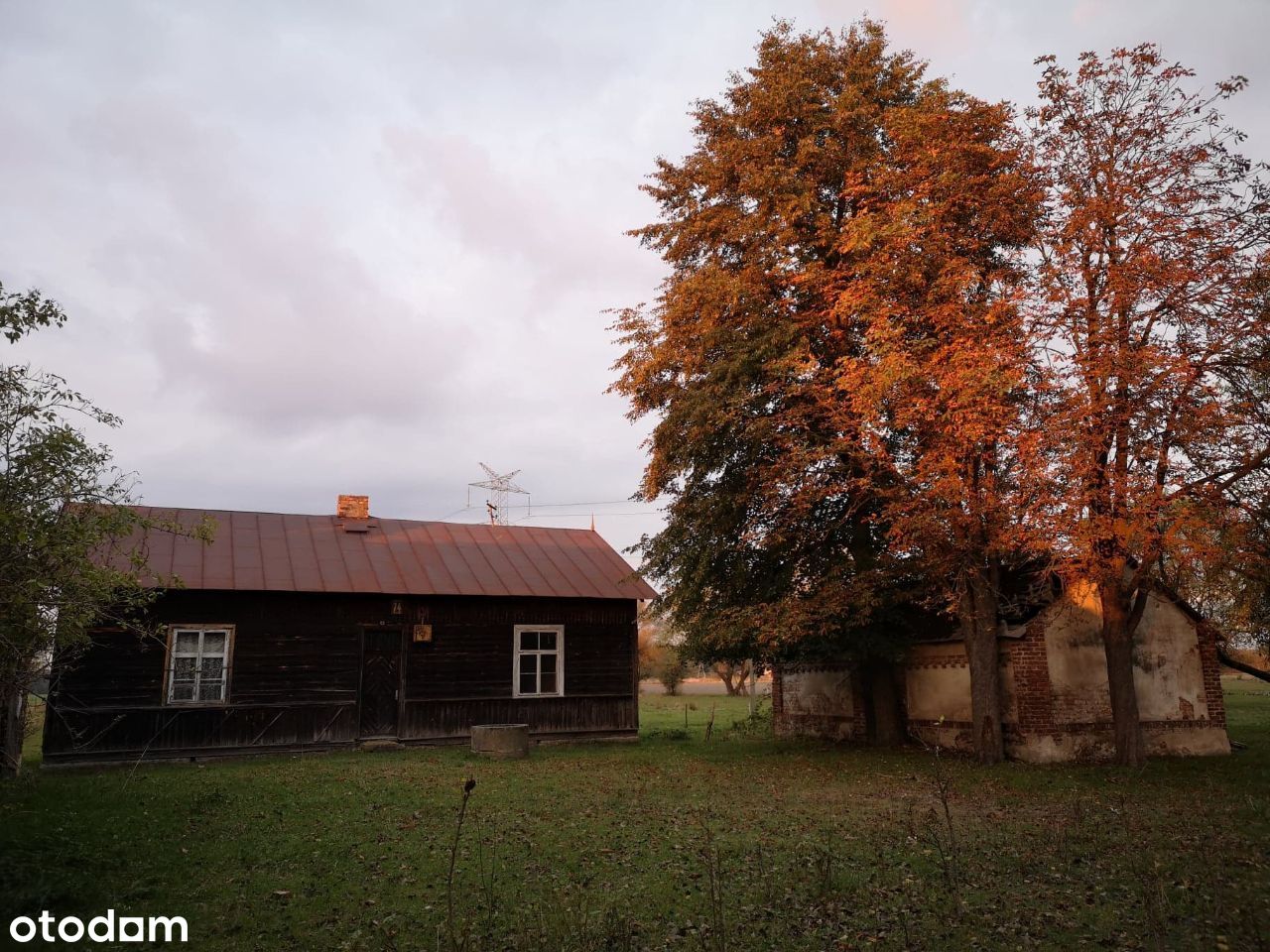 Działka z siedliskiem 30 900 m2, Nowe Ręczaje