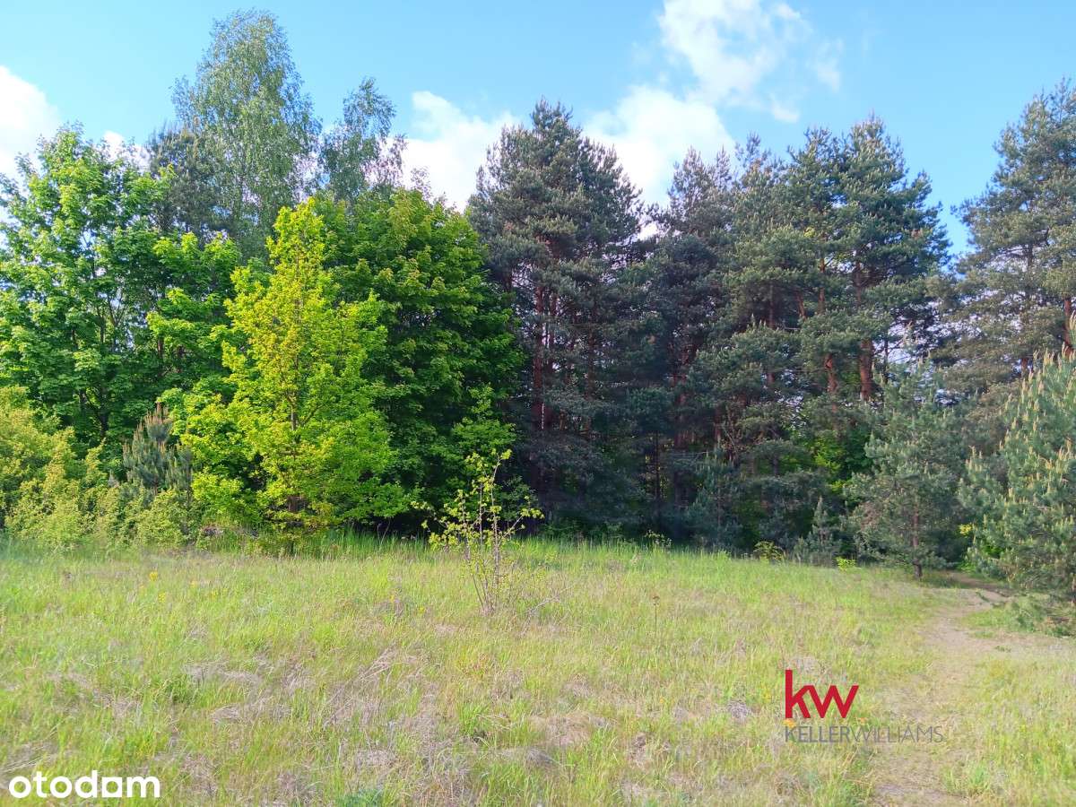 Piękna działka w okazyjnej cenie - Pełny obrazek: 5/5