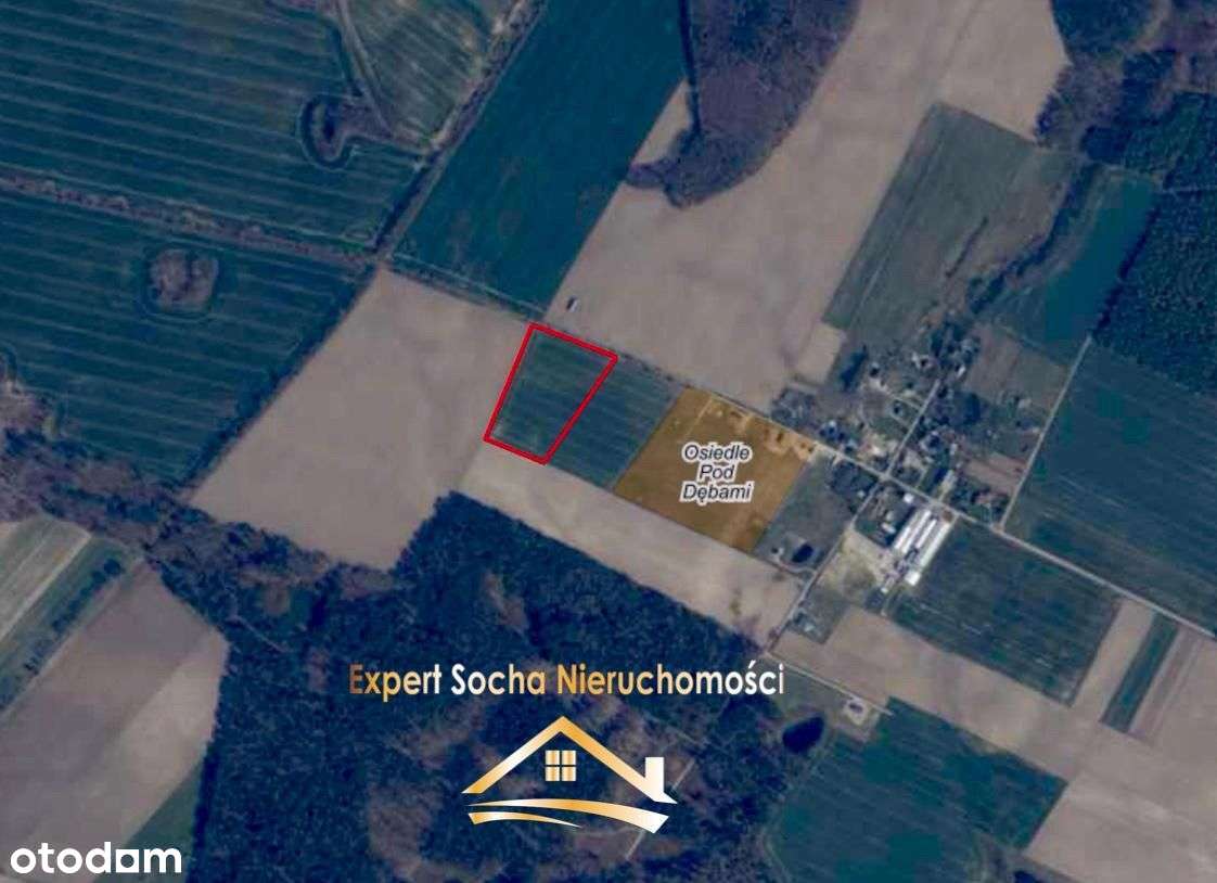 Działki położone w Kaninie gmina Nowa Wieś Lęborsk - Pełny obrazek: 4/5