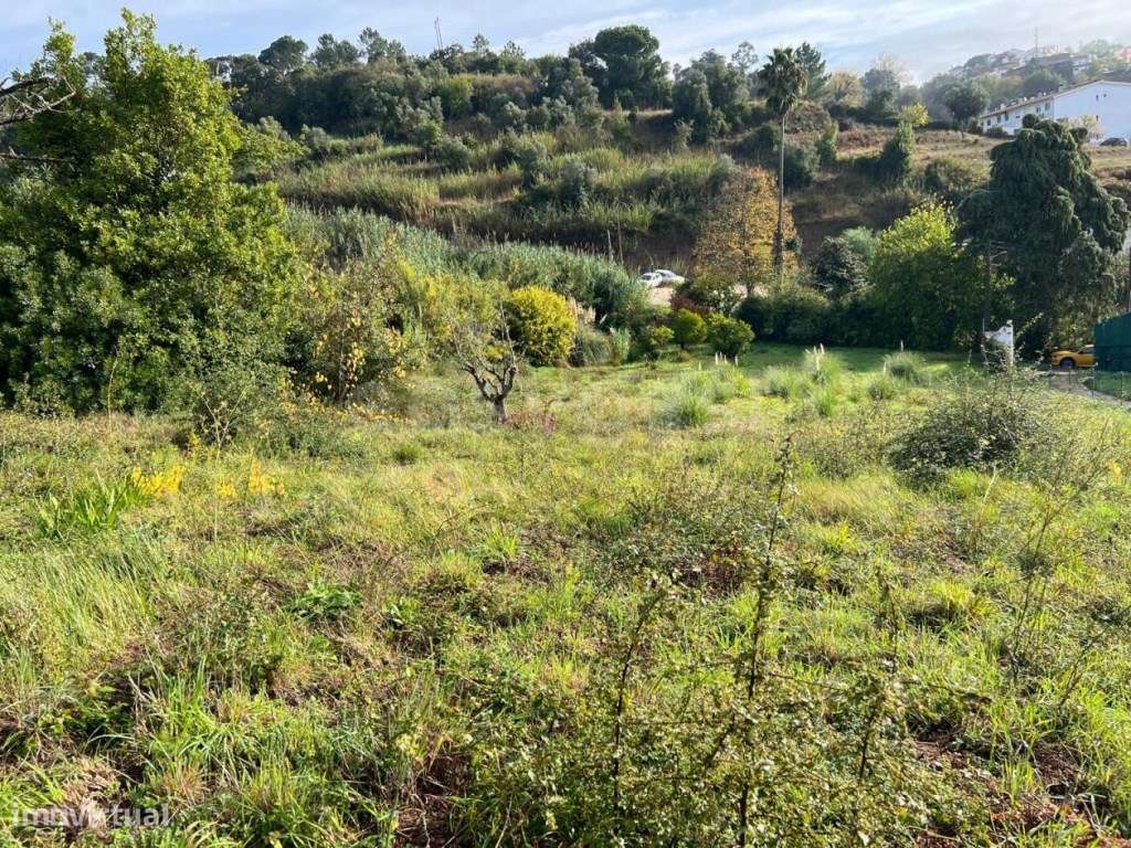 Terreno para Construção com 4500m2 em Alcobaça - Grande imagem: 4/12