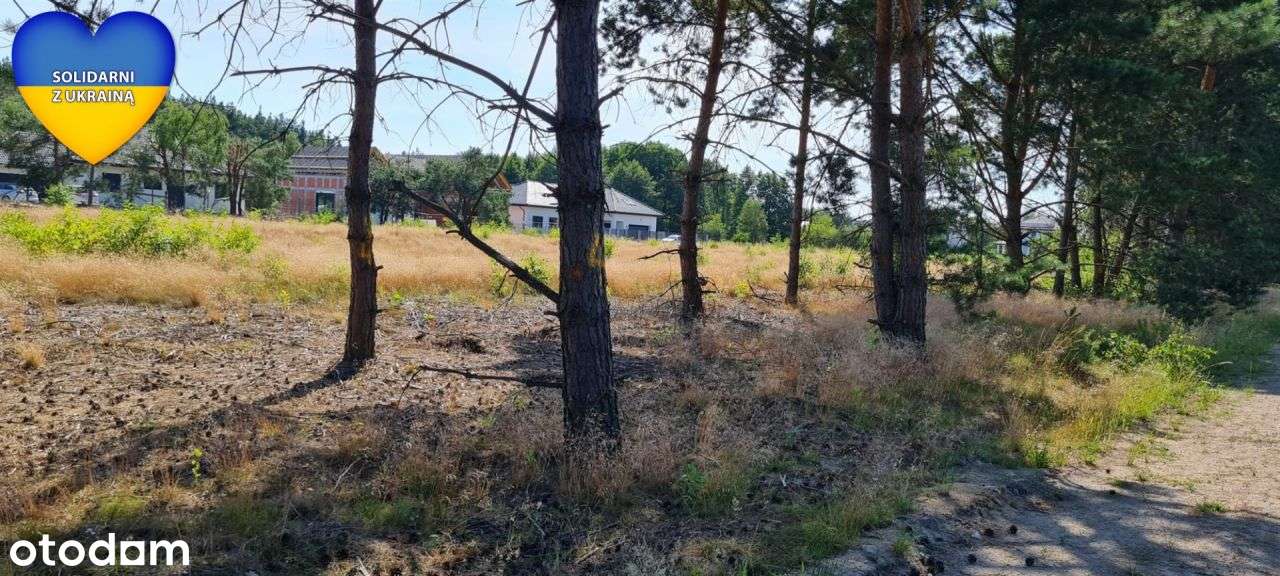 Niwy, działka budowlana 765m2 w otoczeniu lasu. - Pełny obrazek: 4/6