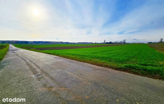 Duża działka przy Otulinie Kazimierskiego PK