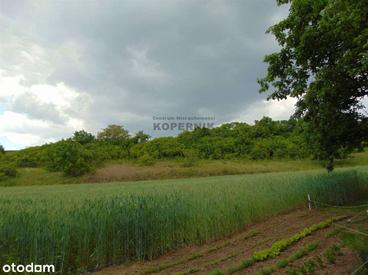 Siedlisko Piotrkowo 3 stawy, 2 garaże Unikat - Pełny obrazek: 4/18