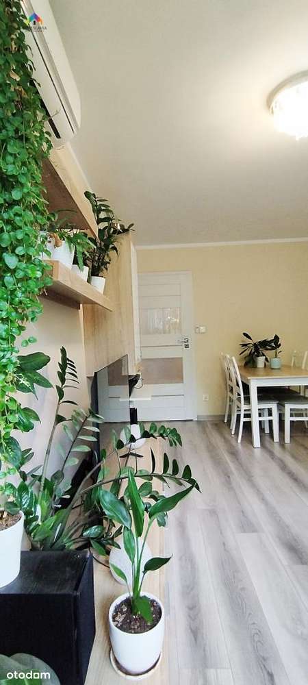 3 pokoje, II piętro, balkon, Co miejskie, po remon-16