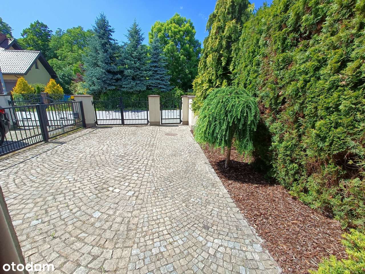 Szeregowiec w Świetnej Lokalizacji –Bezpośrednio od Właściciela - Pełny obrazek: 5/20