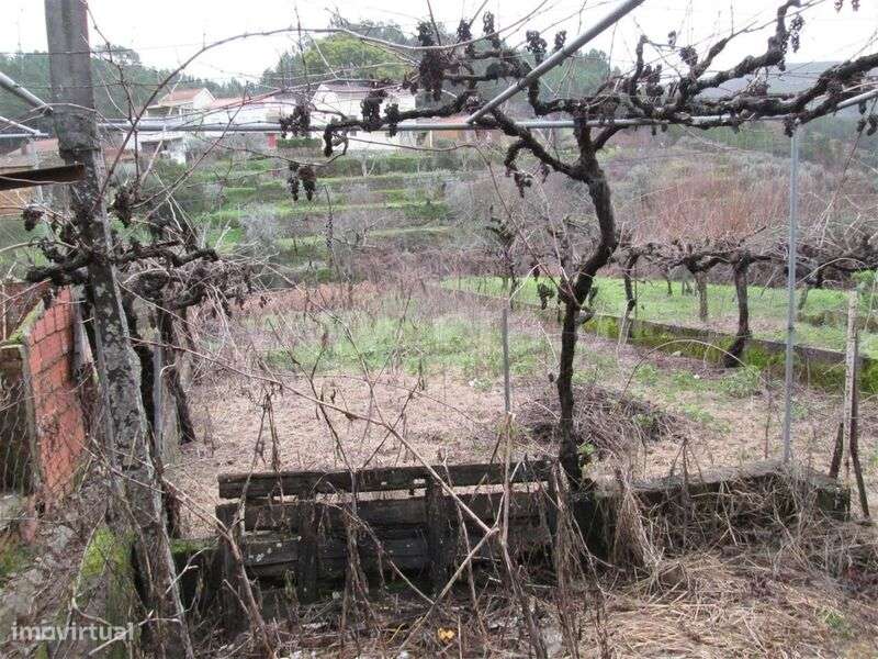 Moradia T2 / Fundão, Enxabarda - Grande imagem: 4/6