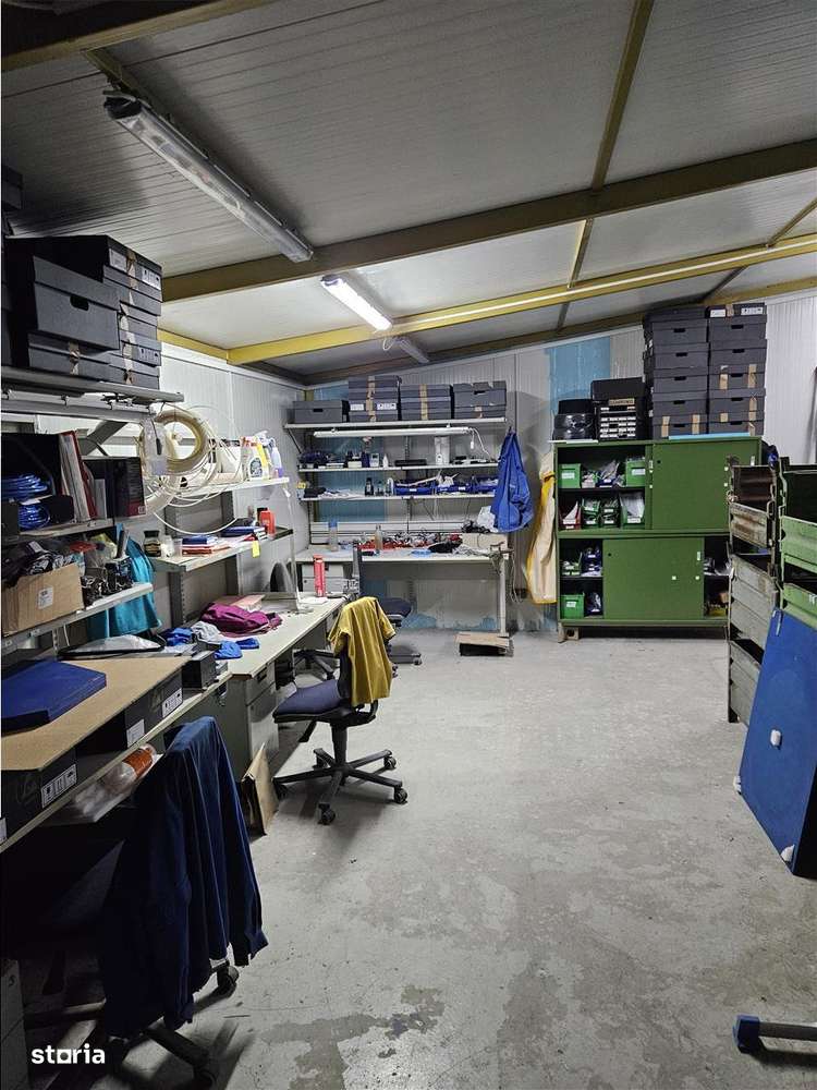 Exclusivitate - Proprietate Industriala De Vanzare - Productie - Depoz-10