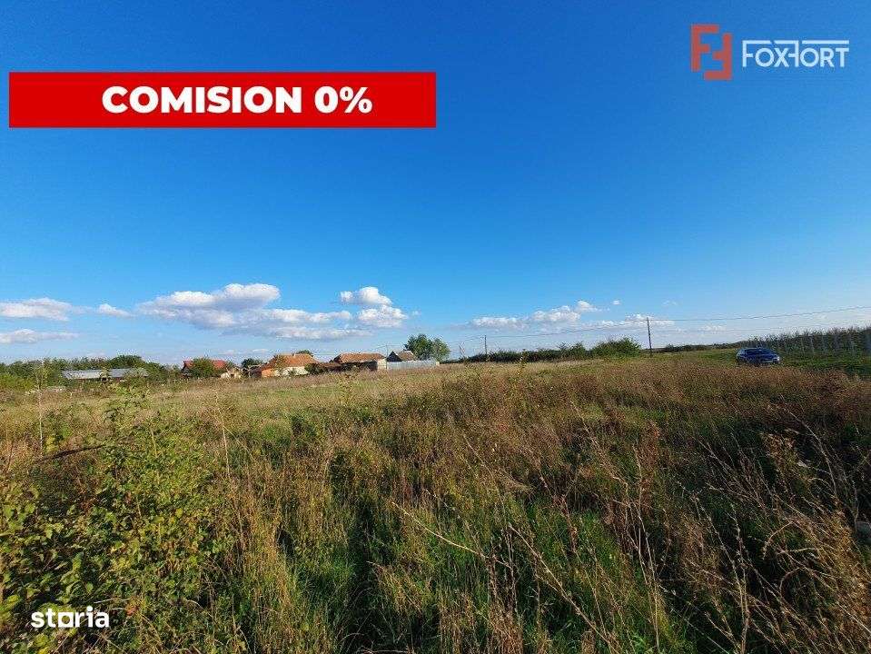 Teren intravilan de 3346 mp cu 2 fronturi - Jebel - Imagine principală: 2/8