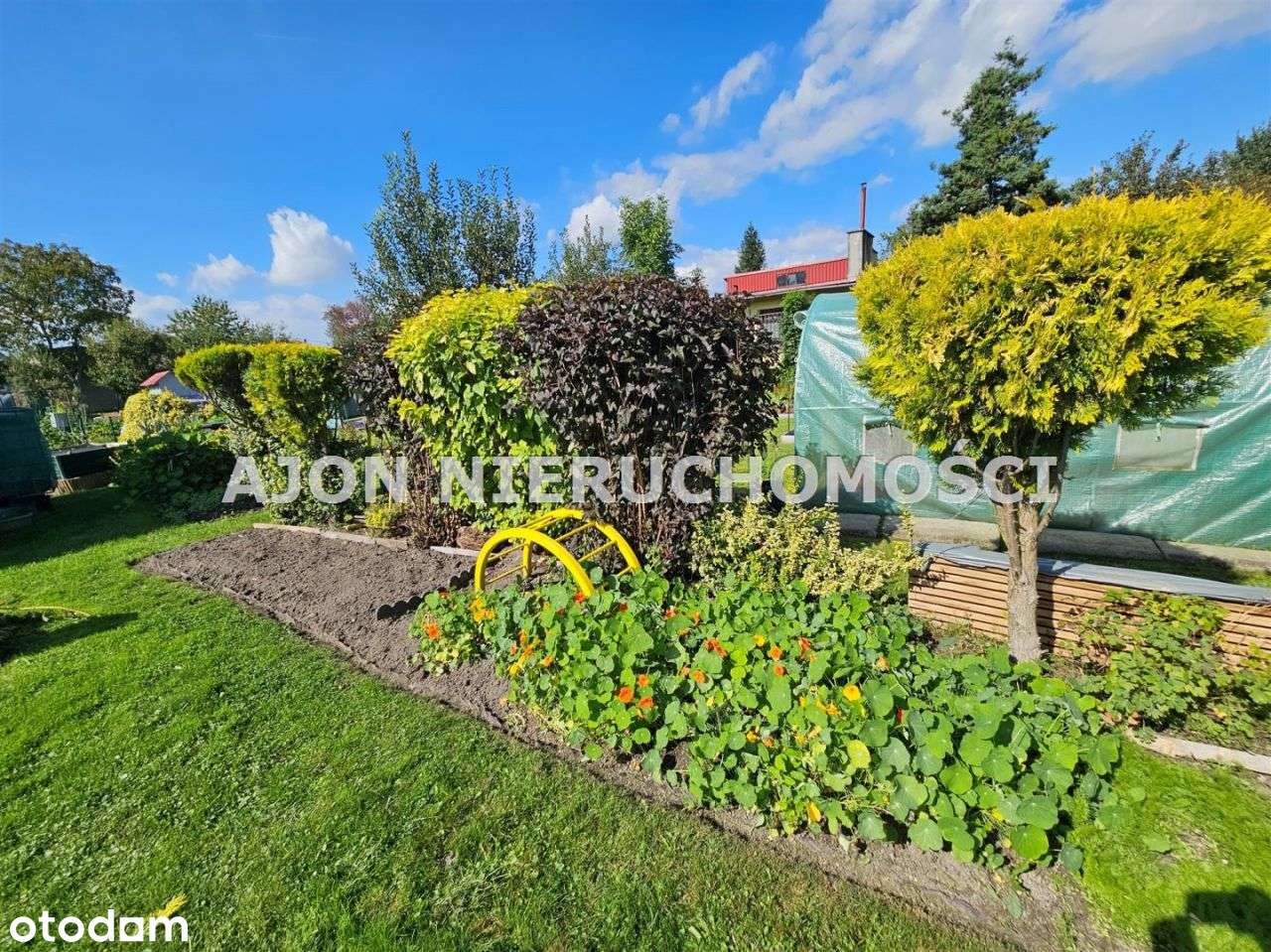 Rod Reneta Piękna I Zadbana Działka !-11