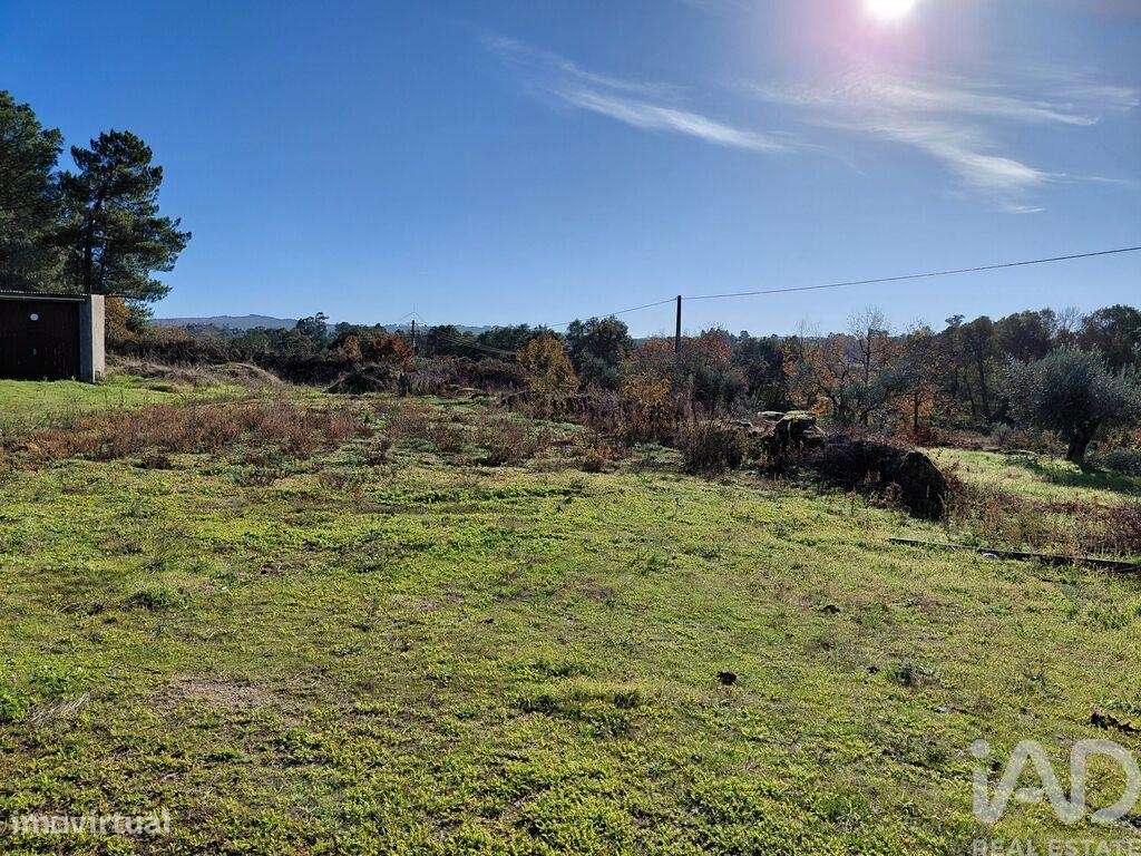 Quinta agricola em Caria de 44720 m2 - Grande imagem: 2/21