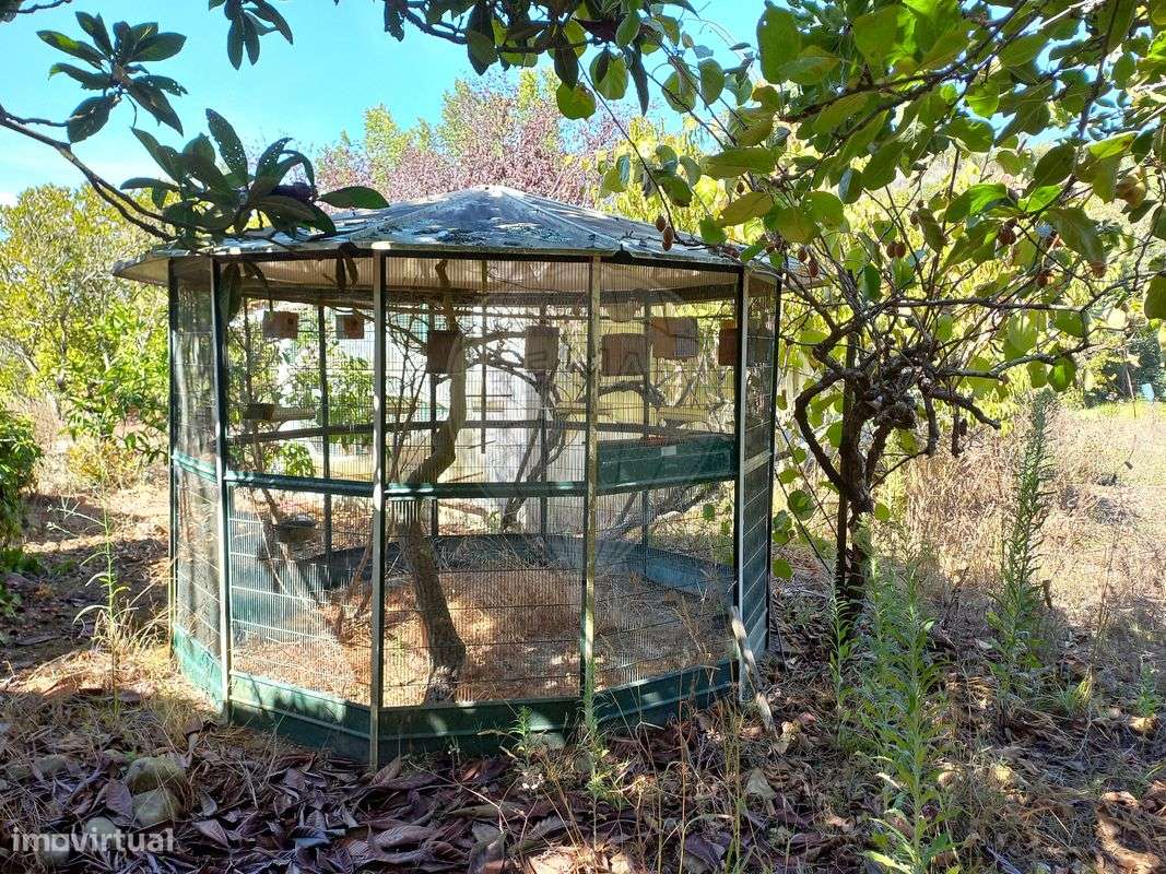 Terreno  para venda - Grande imagem: 4/12