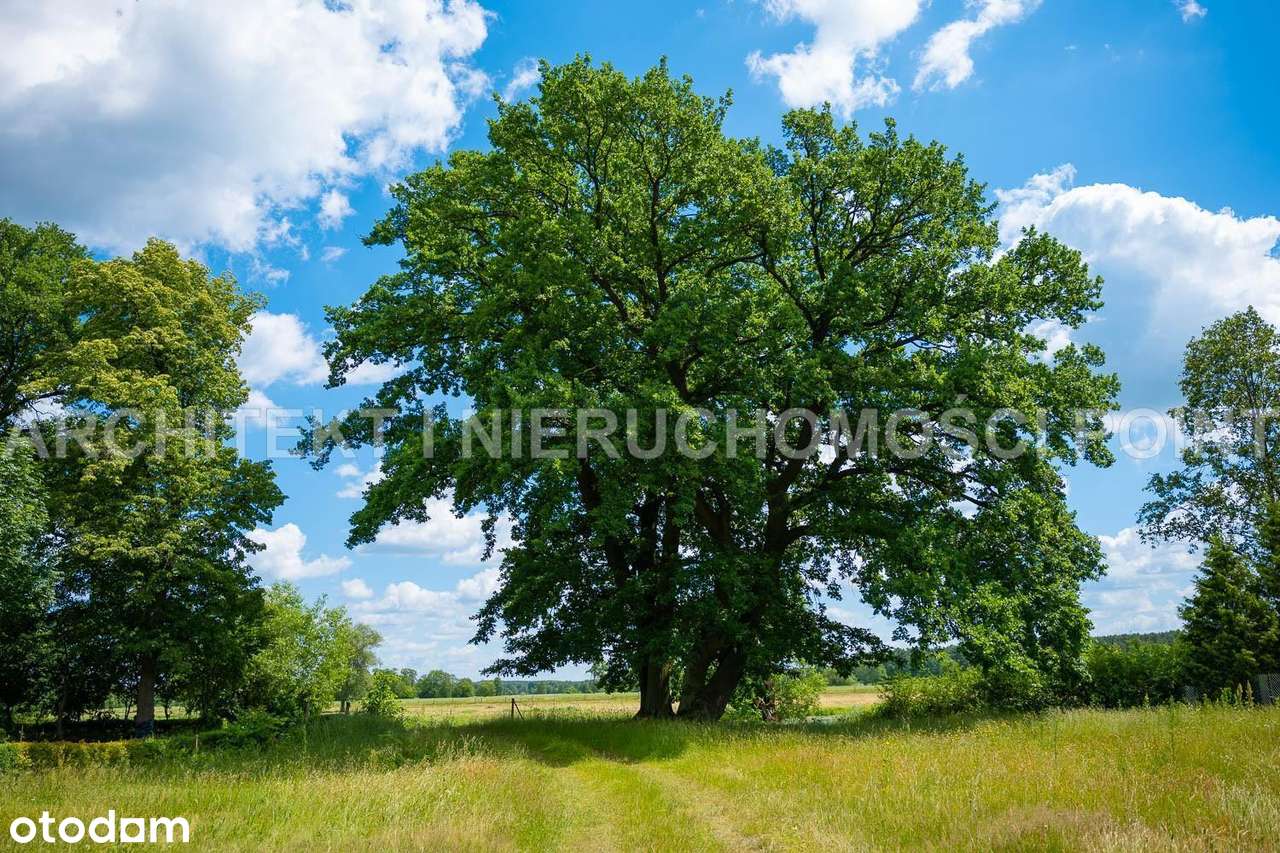 Działka letniskowa Młynarze,  Bug i Fiszor-5