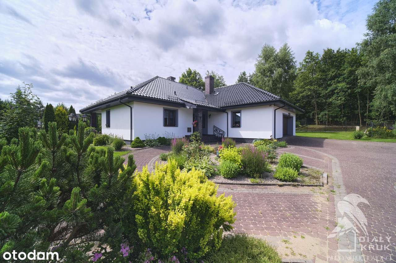 Piękny Dom pod Toruniem z prywatnym lasem – Okazja! - Pełny obrazek: 5/20