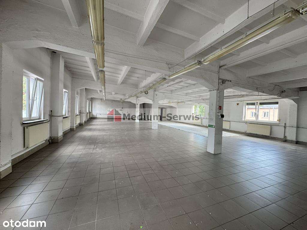 Lokal usługowo-produkcyjny 350mkw - Pełny obrazek: 5/16