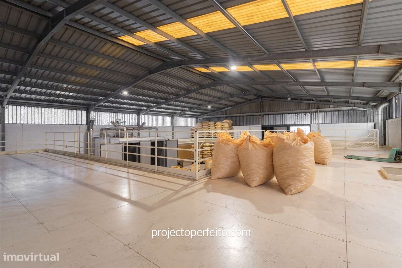 Fábrica/Indústria  Venda em Lourosa,Santa Maria da Feira - Grande imagem: 4/16