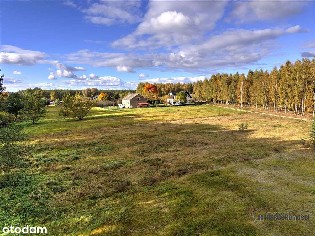 Działka pod lasem na raty - Piaseczno-17