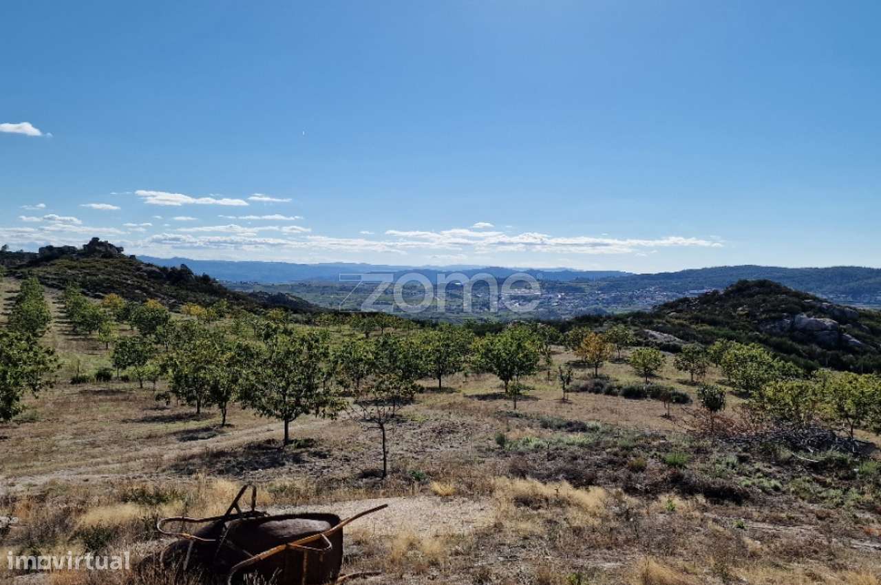 Terreno, 149 500 m², Alijo - Grande imagem: 5/28