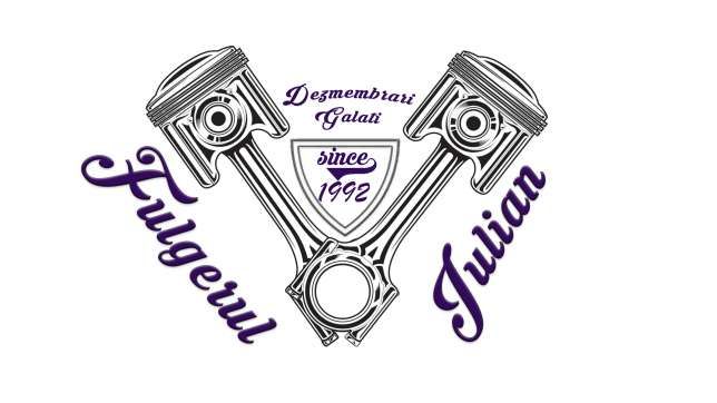 DEZMEMBRARI GALATI - FULGERUL IULIAN logo