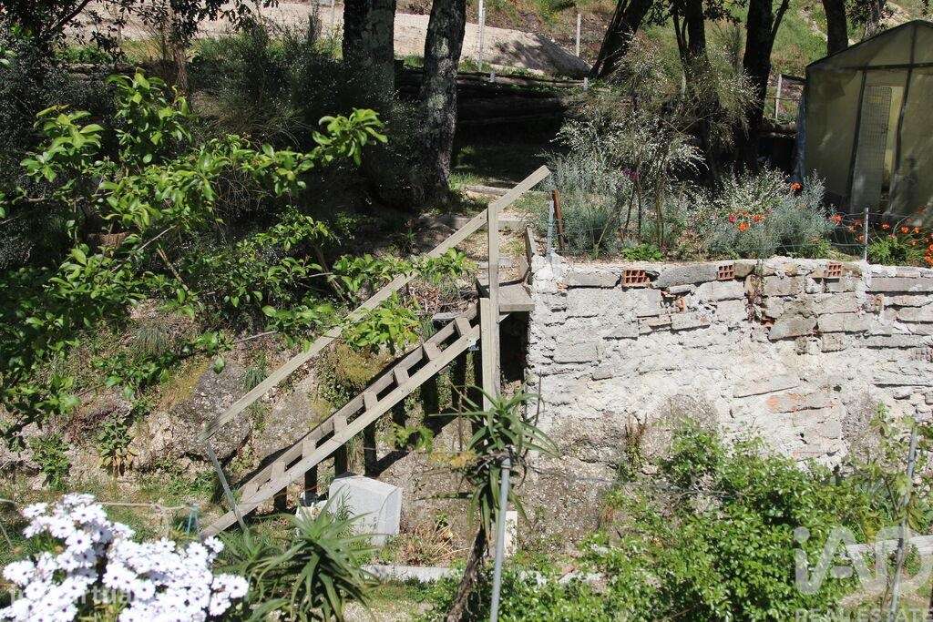 Terreno Agrícola em Oliveira do Hospital e São Paio de Gramaços-22