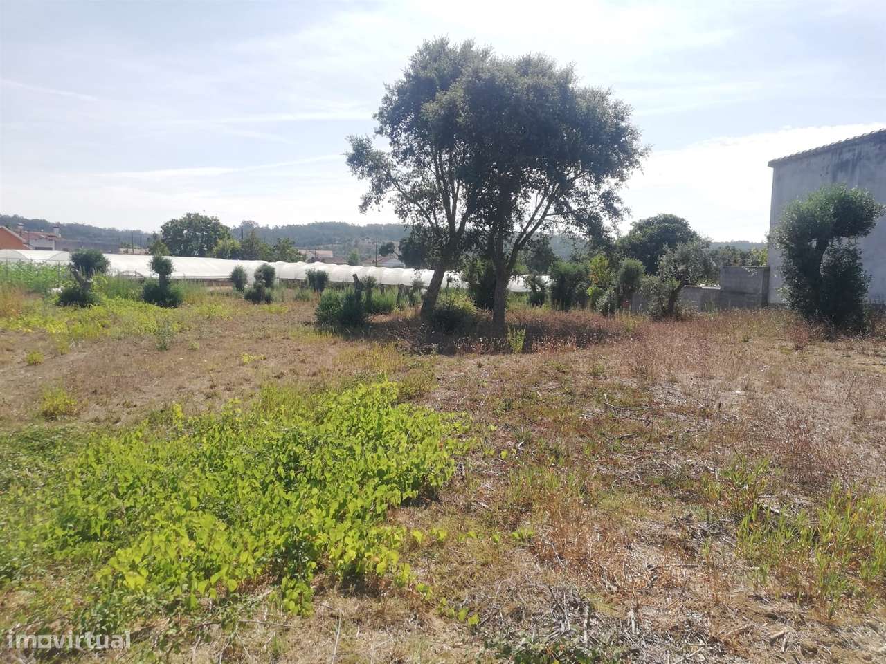 Terreno Ortigosa - Grande imagem: 2/5