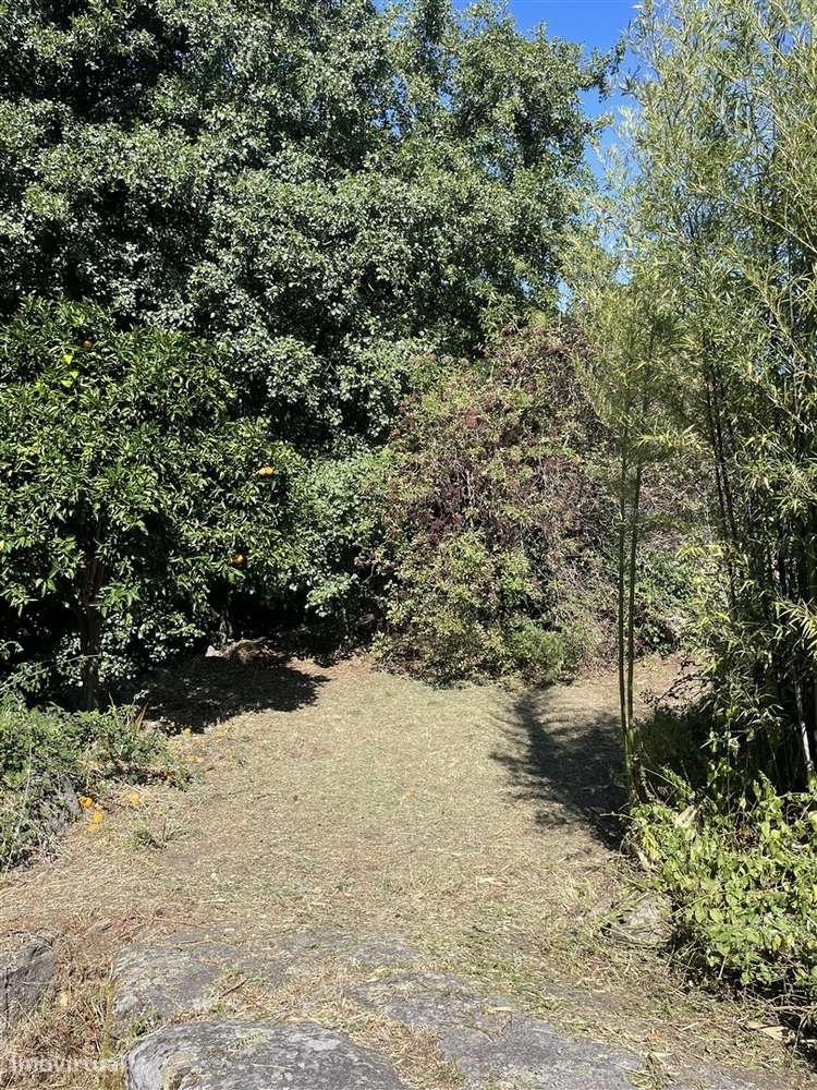 Moradia Isolada T3 Venda em Louriçal do Campo,Castelo Branco-17